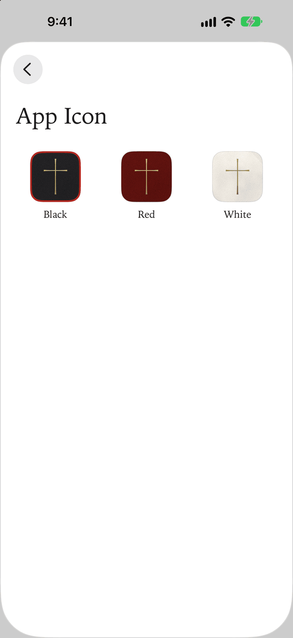 Settings, App Icon, on iPhone: the icon in black, red and white leather, each with a gold cross.